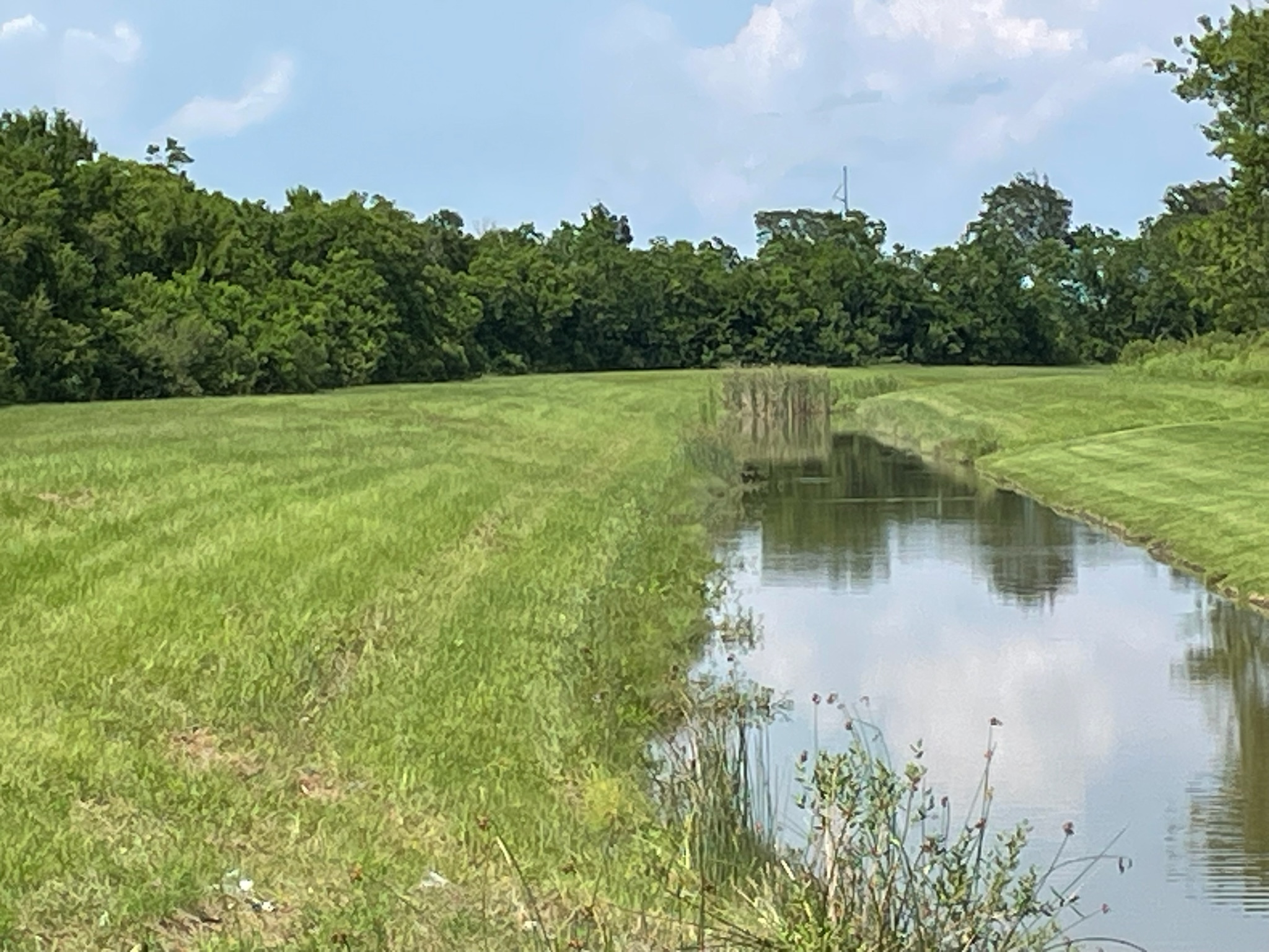 ditch_7a_06_13_24_01.jpeg